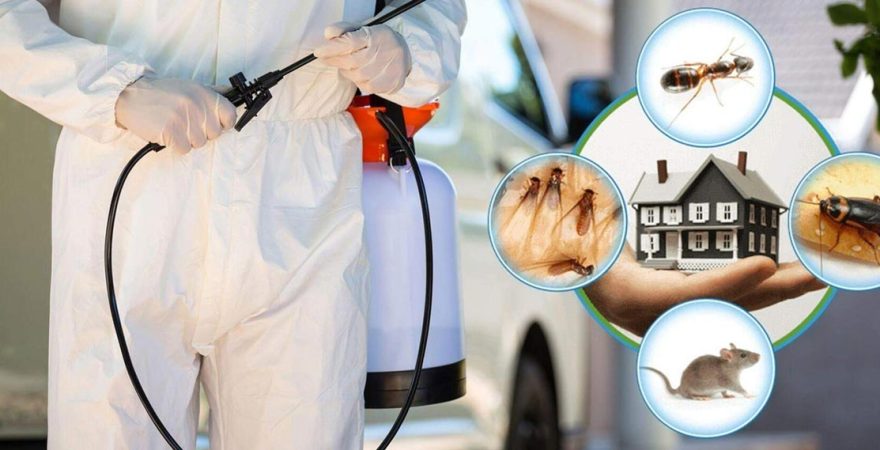 Oltu Böcek İlaçlama