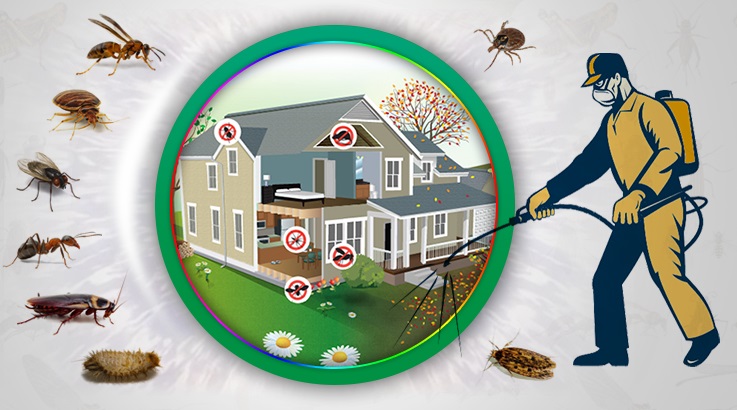 Oltu Böcek İlaçlama