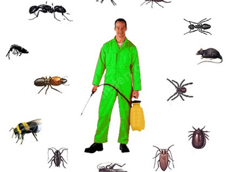 Oltu Böcek İlaçlama